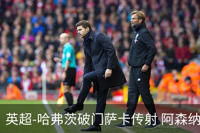 英超-哈弗茨破门萨卡传射 阿森纳2-0狼队